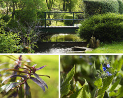 Intersurgical_Wokingham_gardens