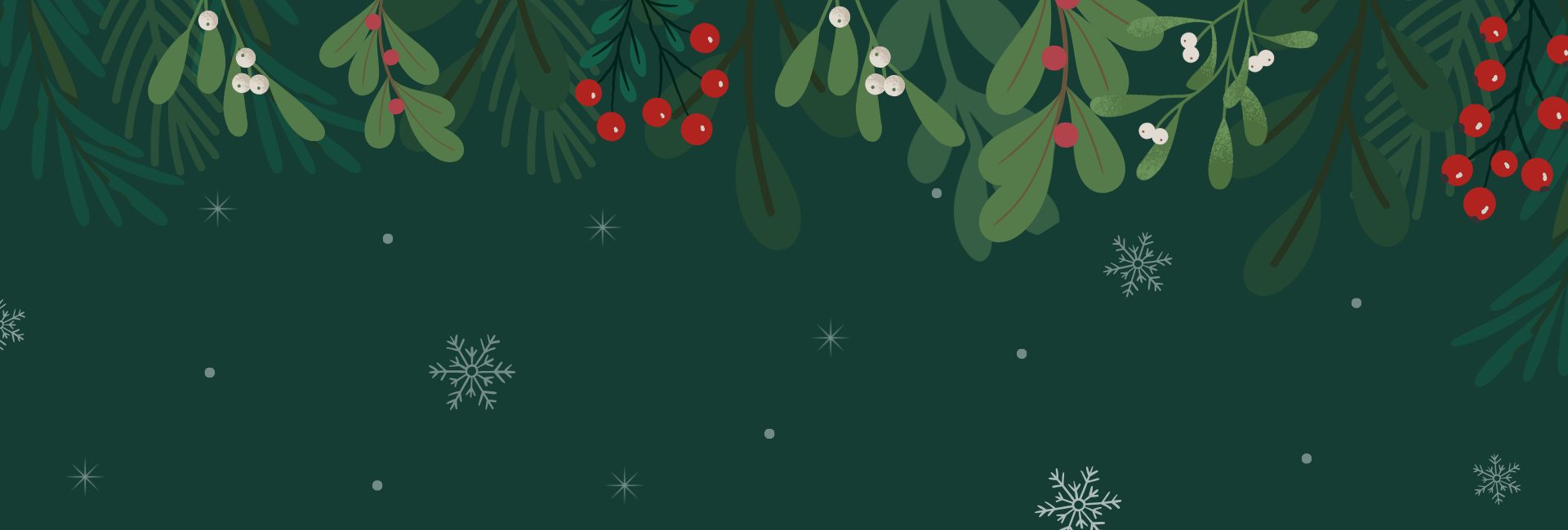 Fijne Feestdagen en een Gelukkig Nieuwjaar!